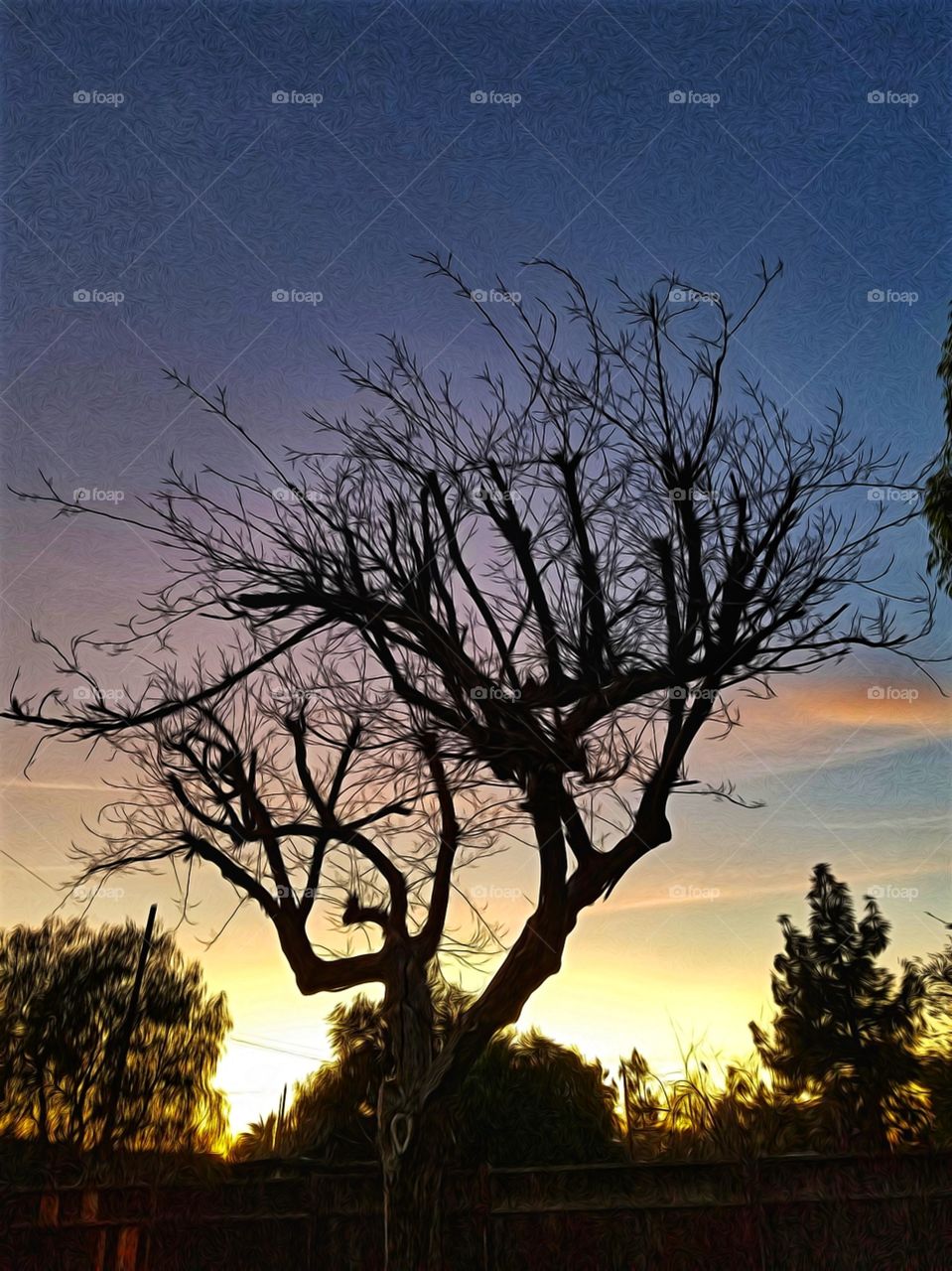 Dead Tree at Sunset