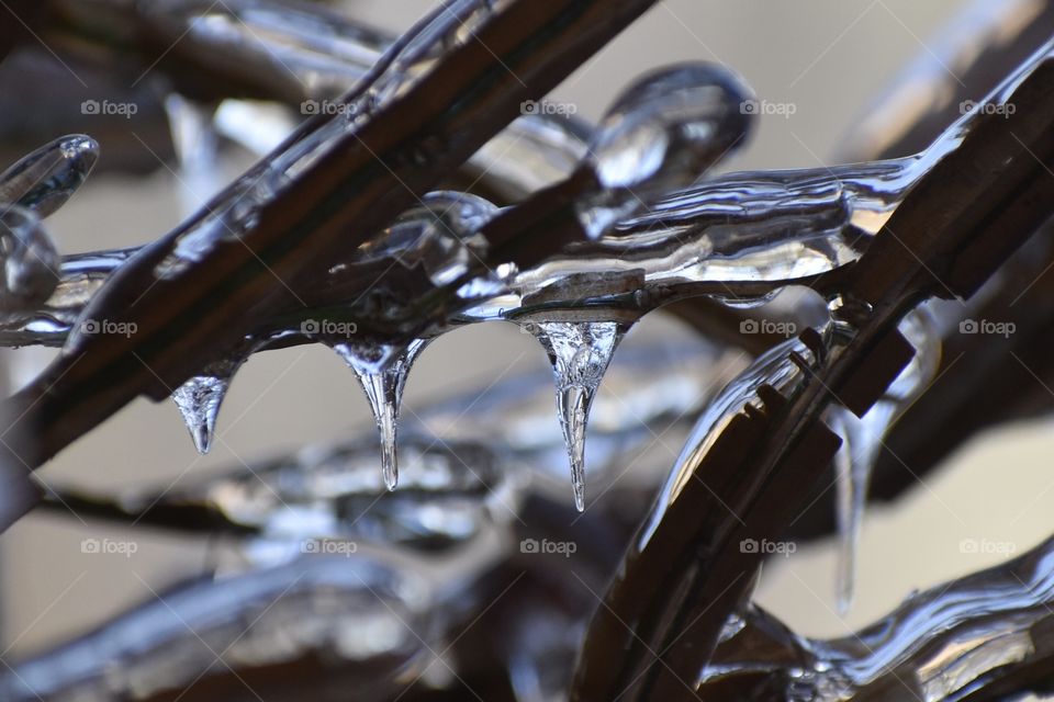 Another world in an ice droplet 
