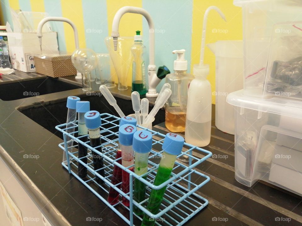 Test tubes in the science lab.
