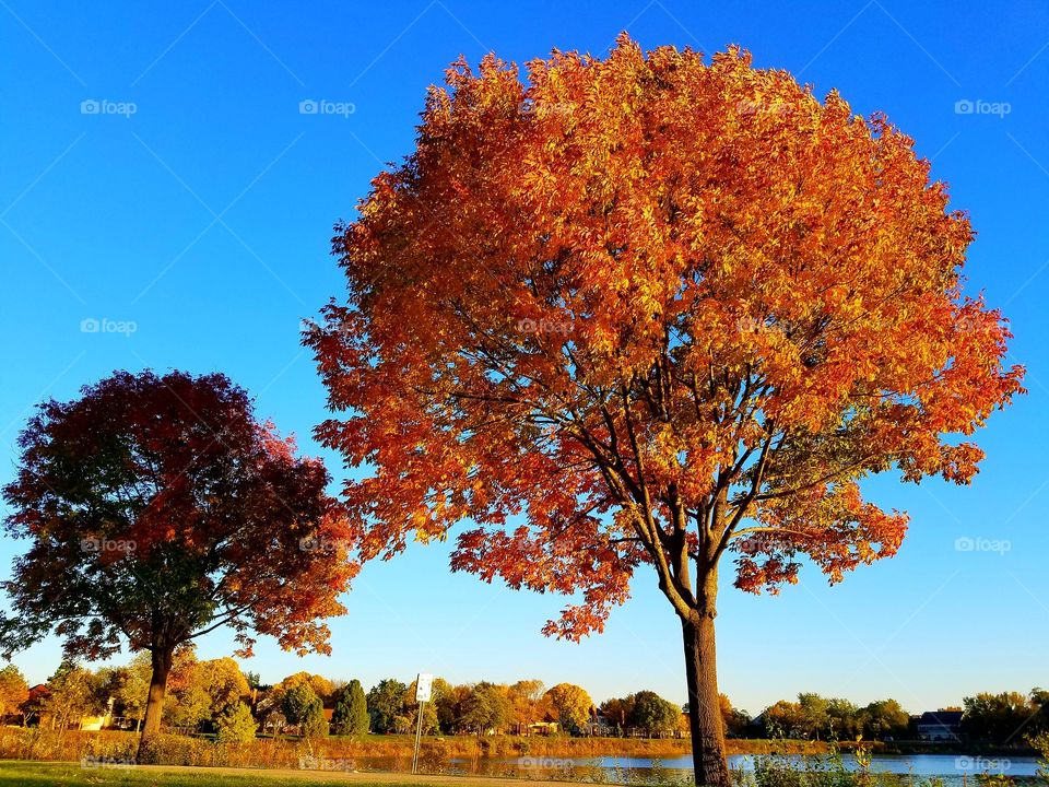 Autumn 🍁🍁🍁🍁🍁