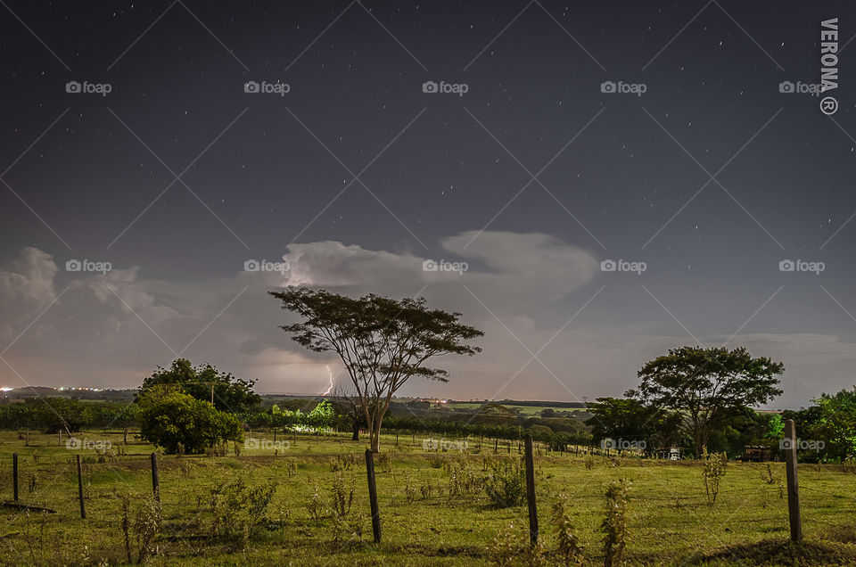 Lightning Over Grass Field