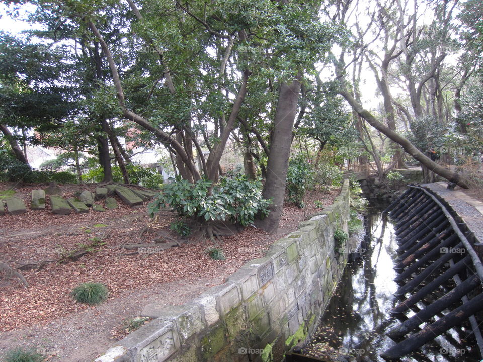 Asakusa Kannon, Tokyo, Japan.  Garden with Trees and River on Sensoji Temple Grounds.