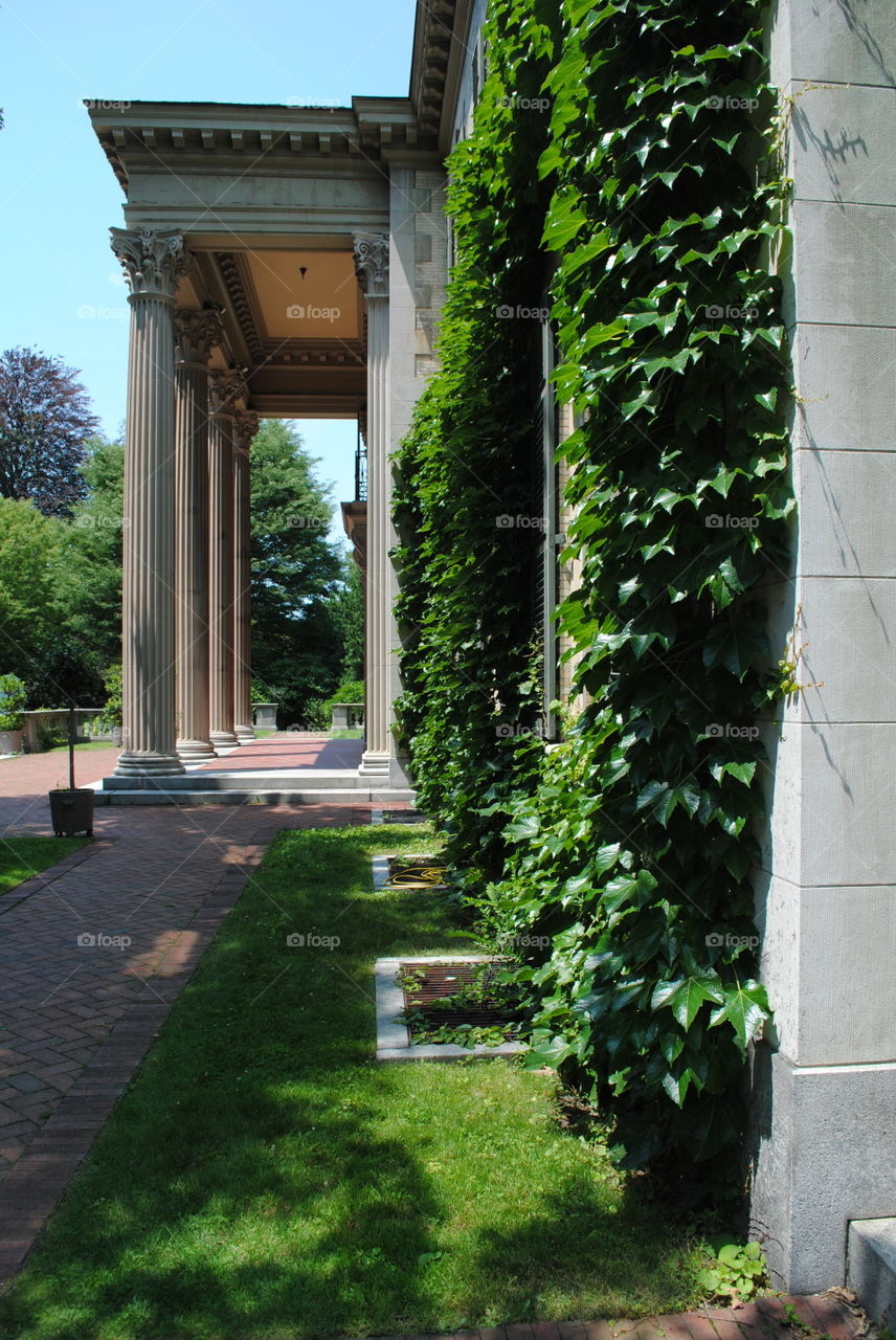 George Eastman House 