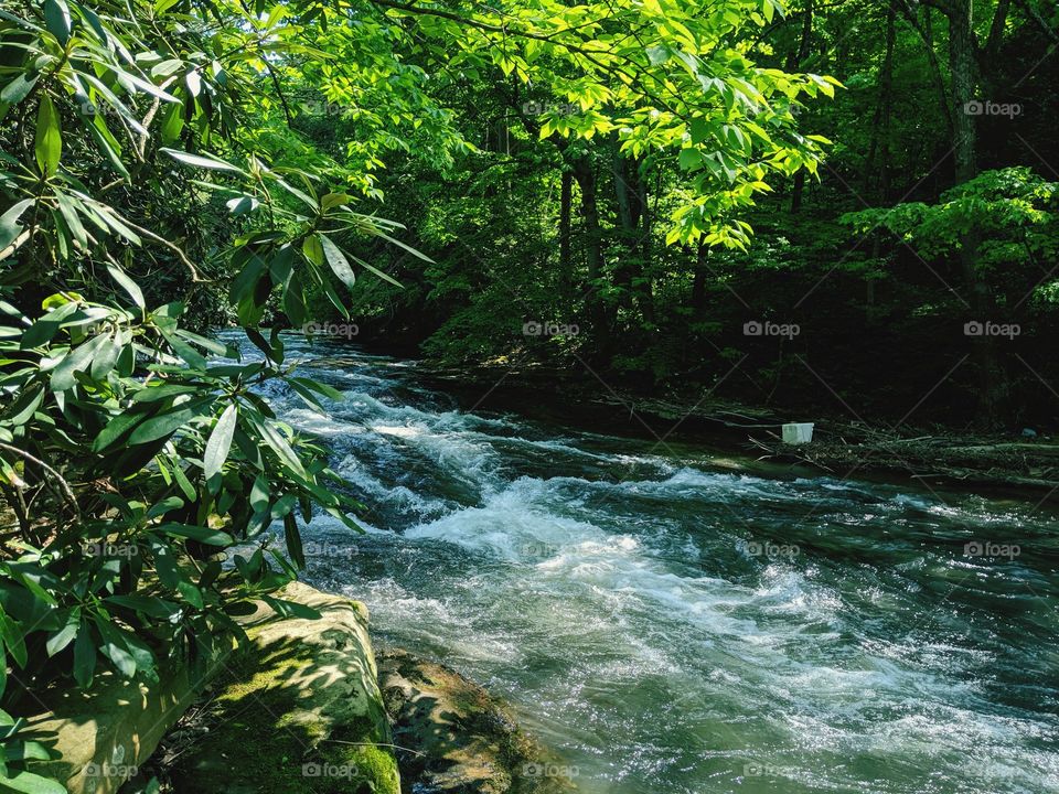 Trout Fishing Waters in Confluence PA