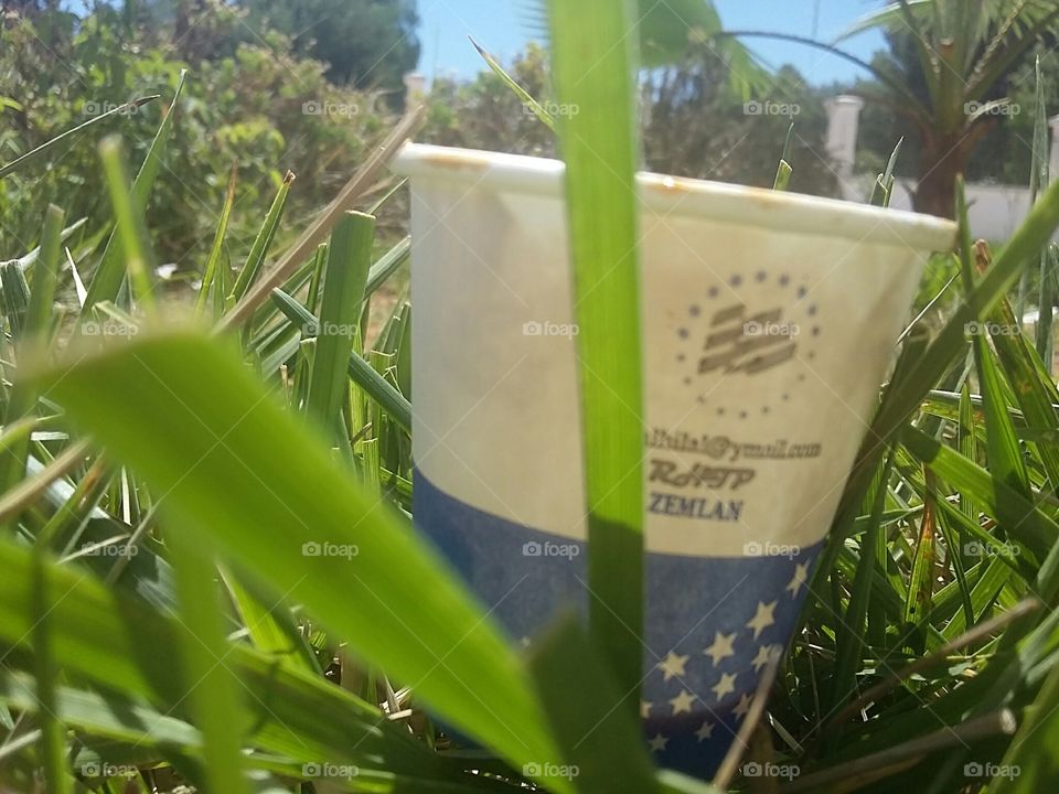 grass , coffee