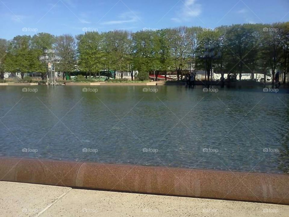 Pond in Boston