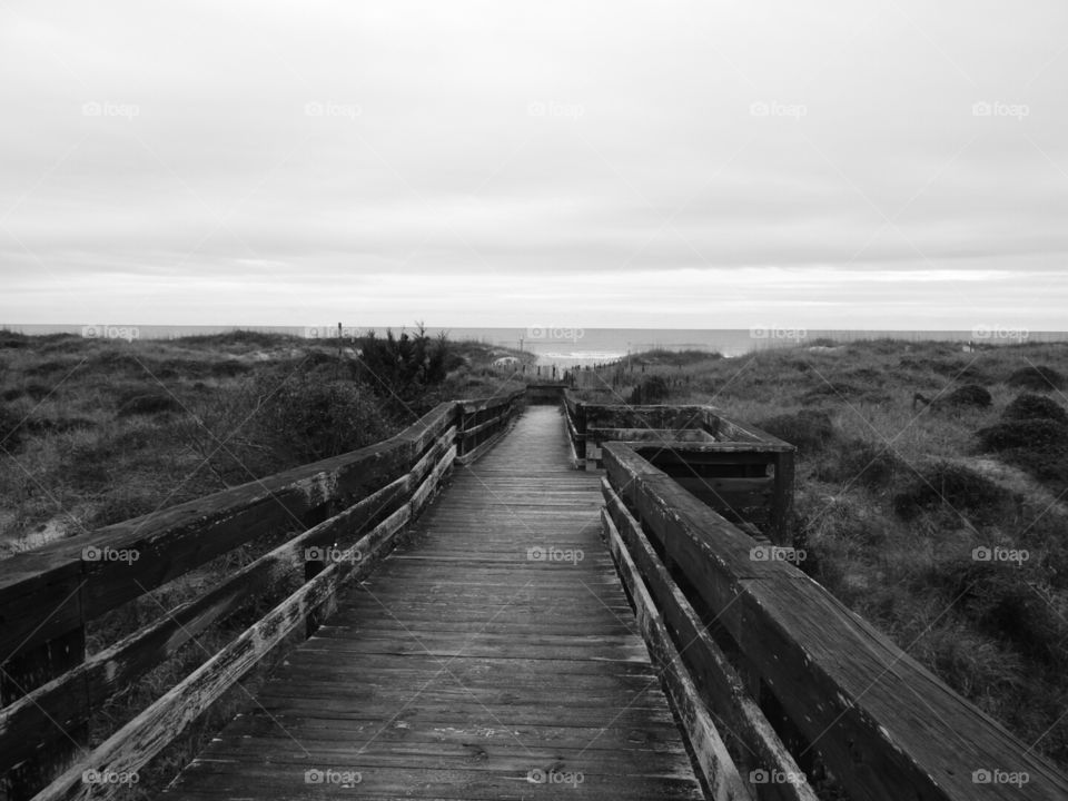 Where will the path take you?