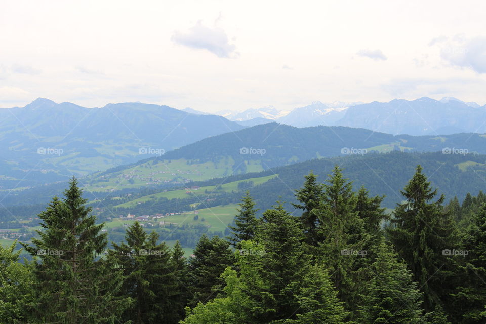 nature of bregenz