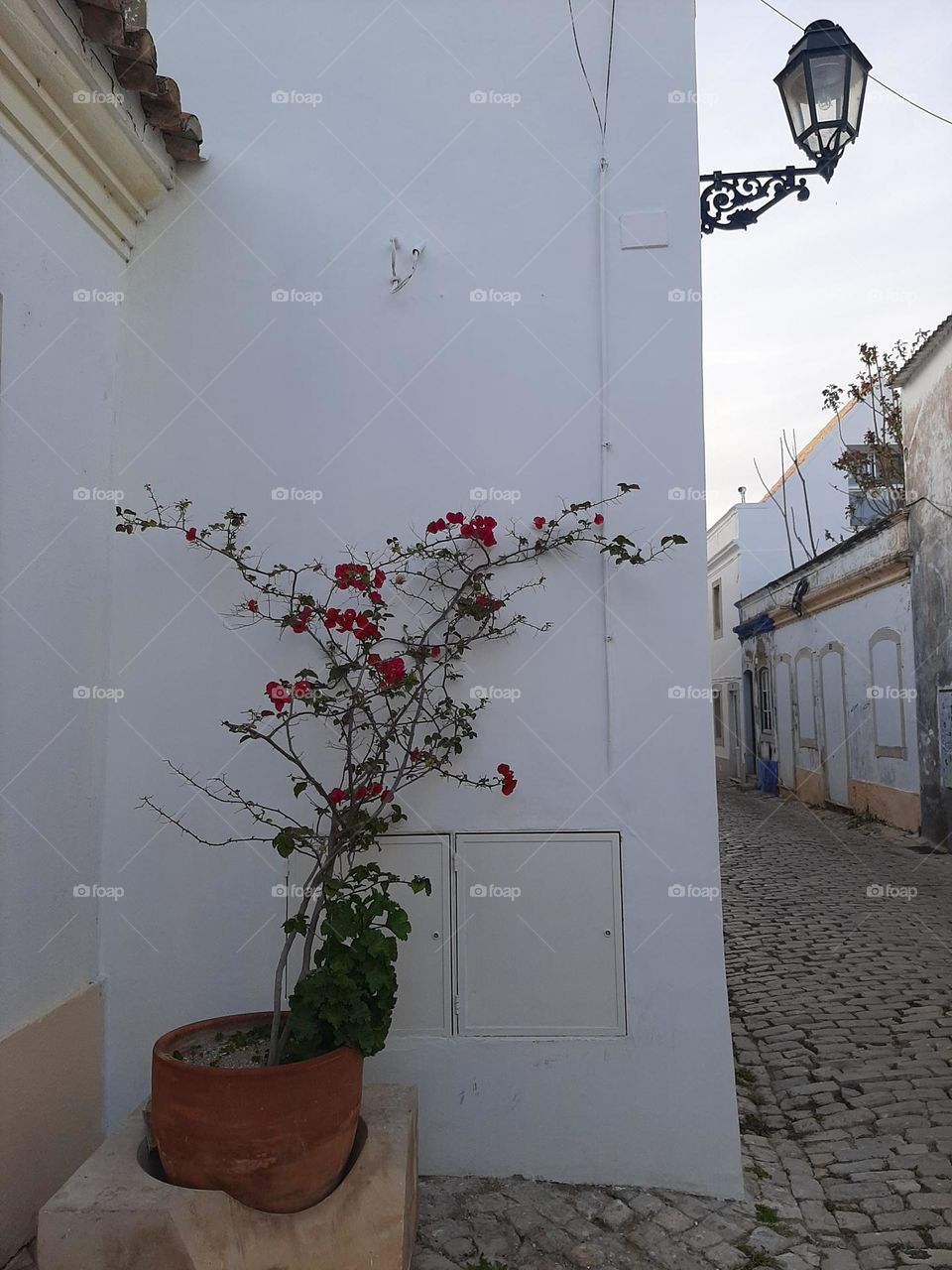 Typical Portuguese Alley