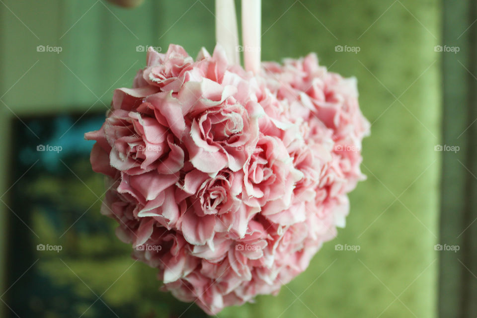 Pink ball-flower