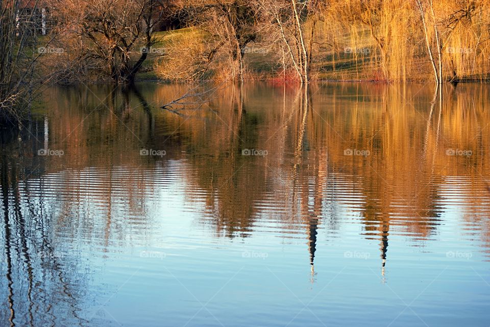 lake reflection