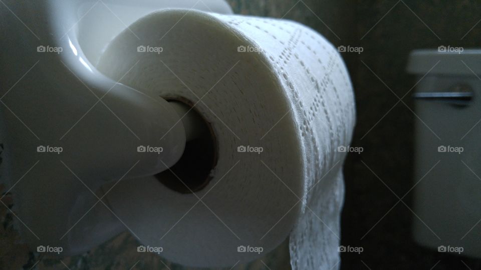 Ready to roll. Toilet paper advent