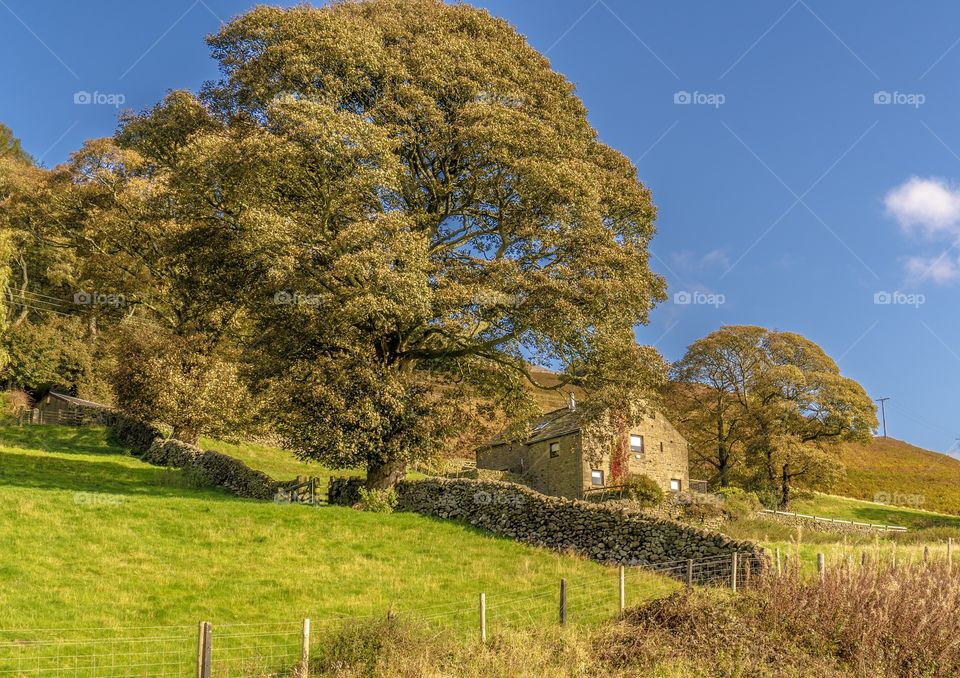 A cottage sat on a hill in derbyshire, england. The trees are starting to change colour in autumn.