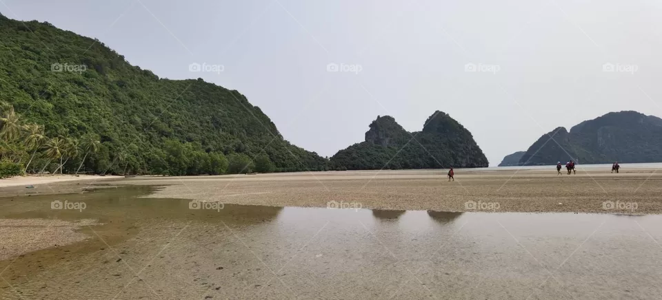 enjoy-sea