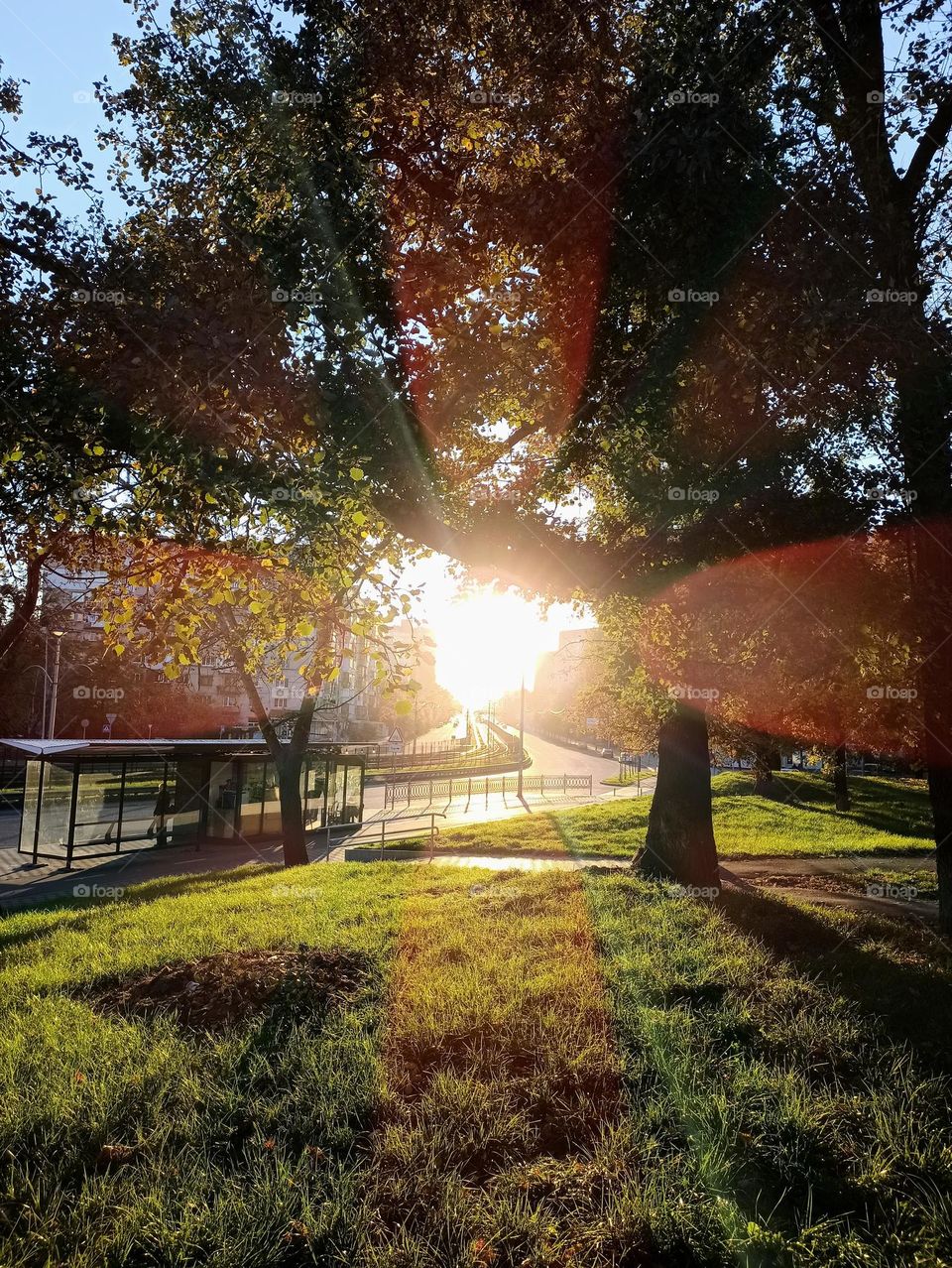 Vacation series : Summer in the city