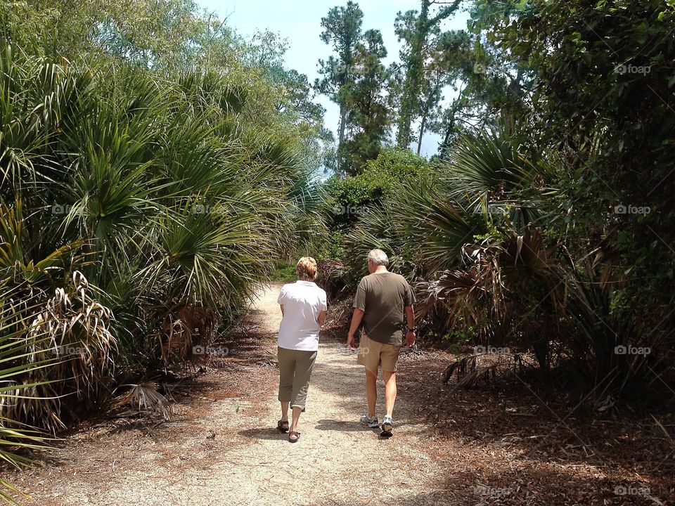 Walking through the forest