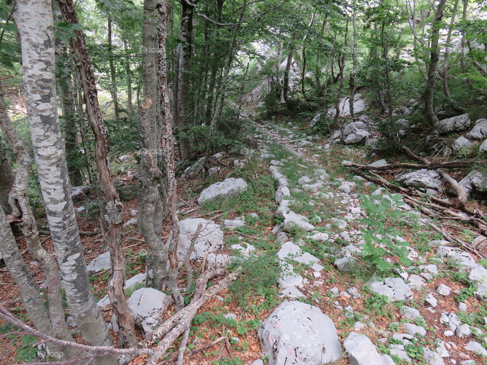 Mountain Orjen Montenegro remains of an old hiking trail built by Austrohungarian army