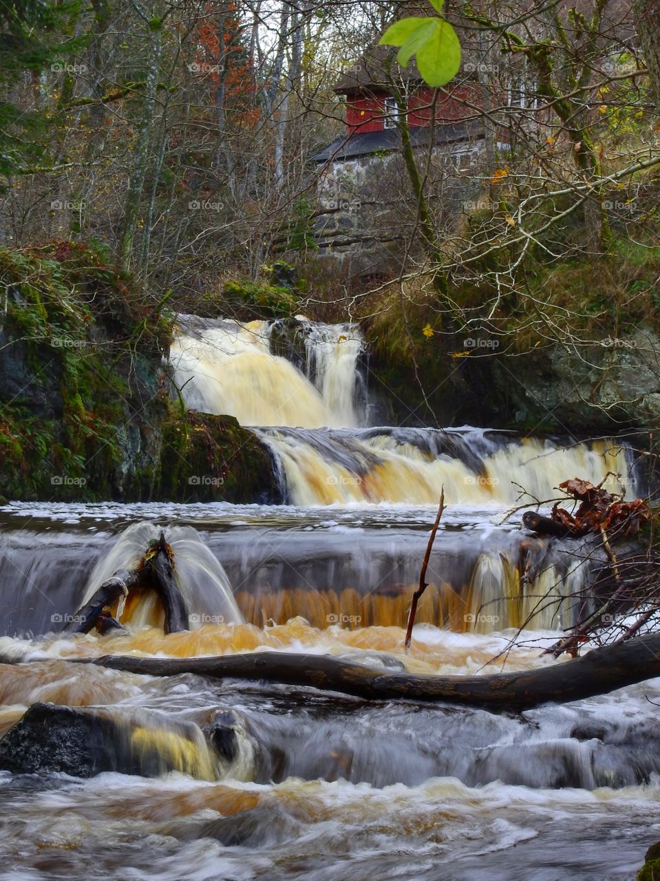 Cascade in fall