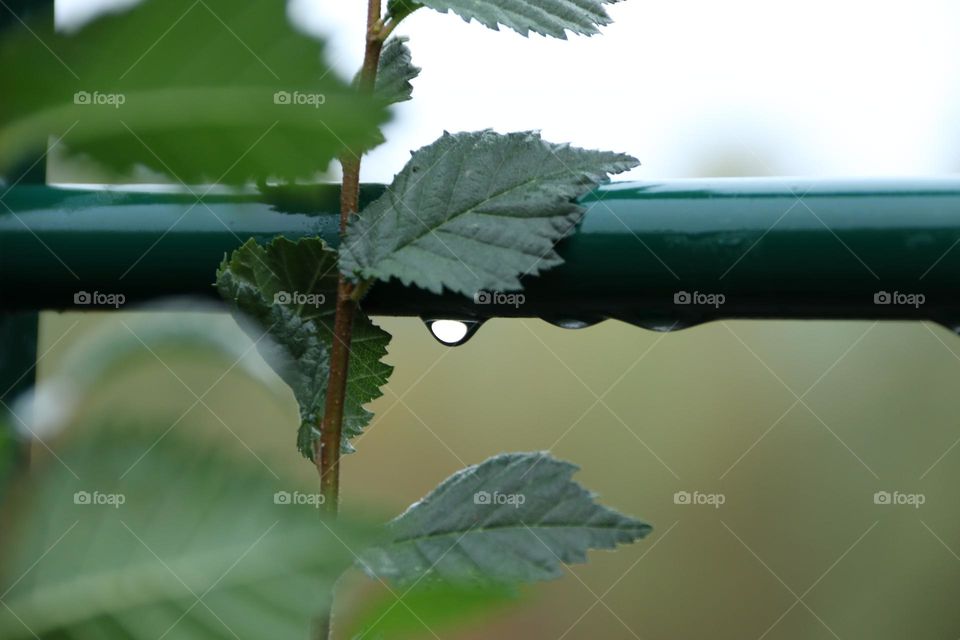 Rain drop on a barrier