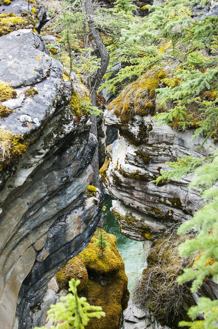 The kissing rocks at Athabasca falls.