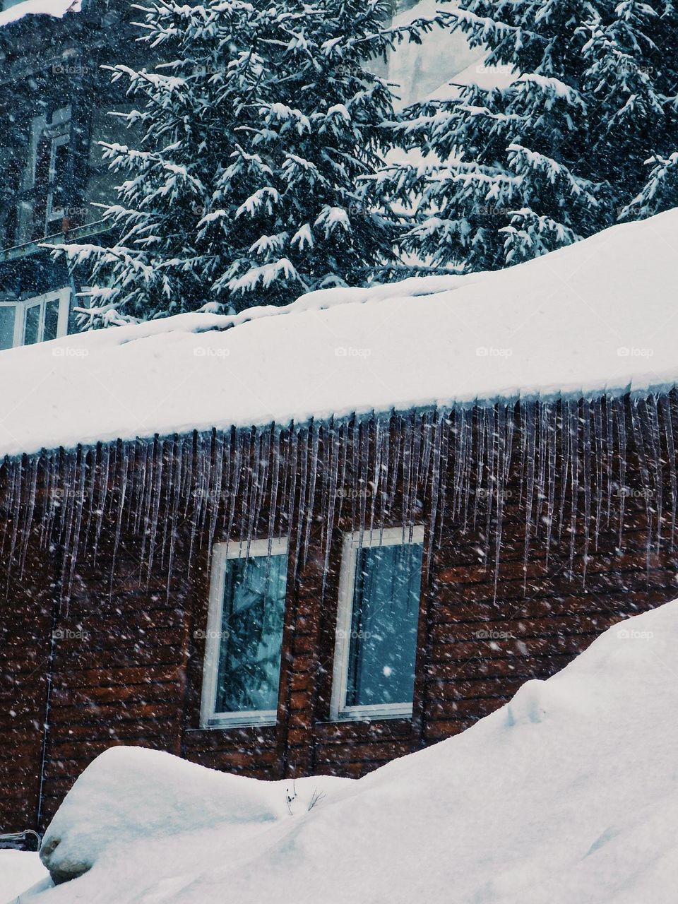 winter icicles