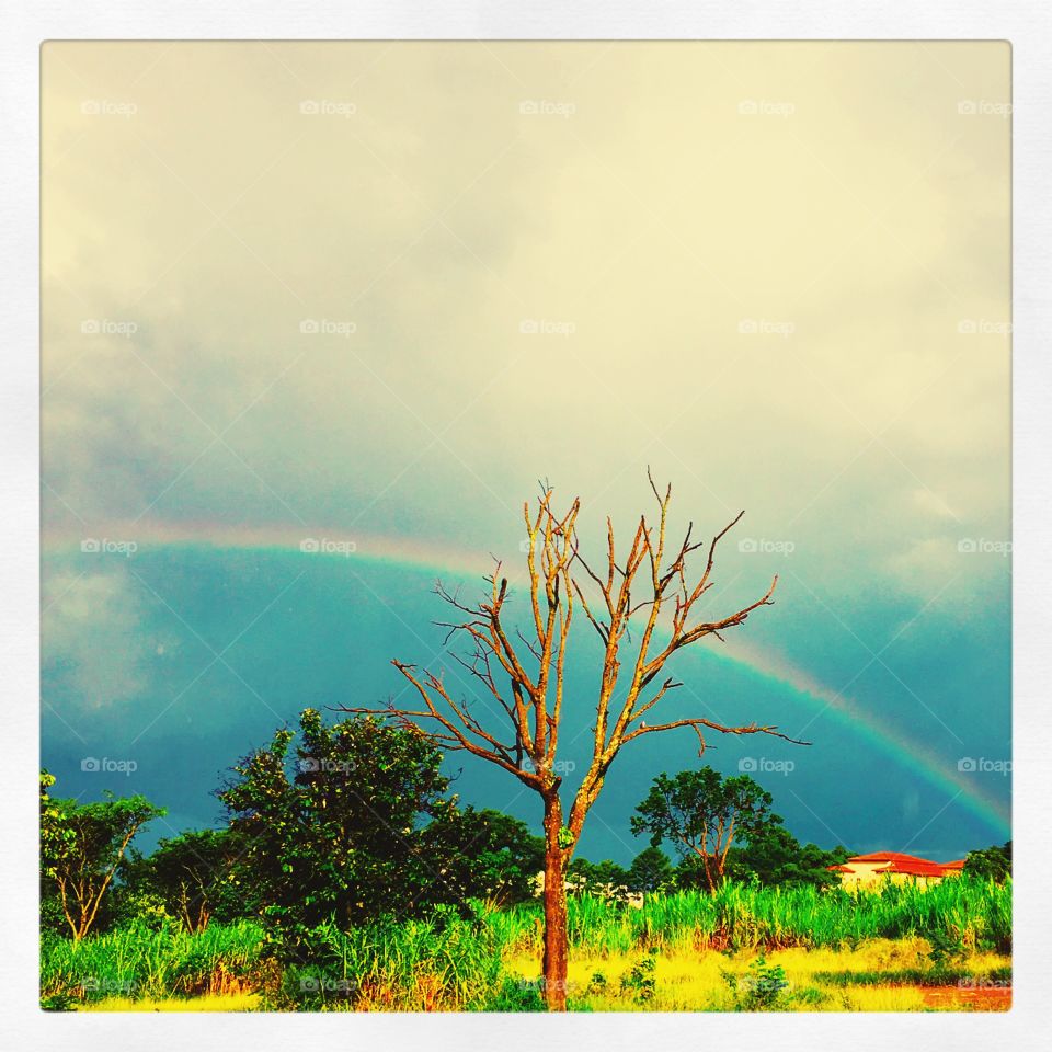 E depois da #chuva, eis que surgiu todo colorido o #arcoiris!
 🌈 
#natureza
#fotografia
#paisagem