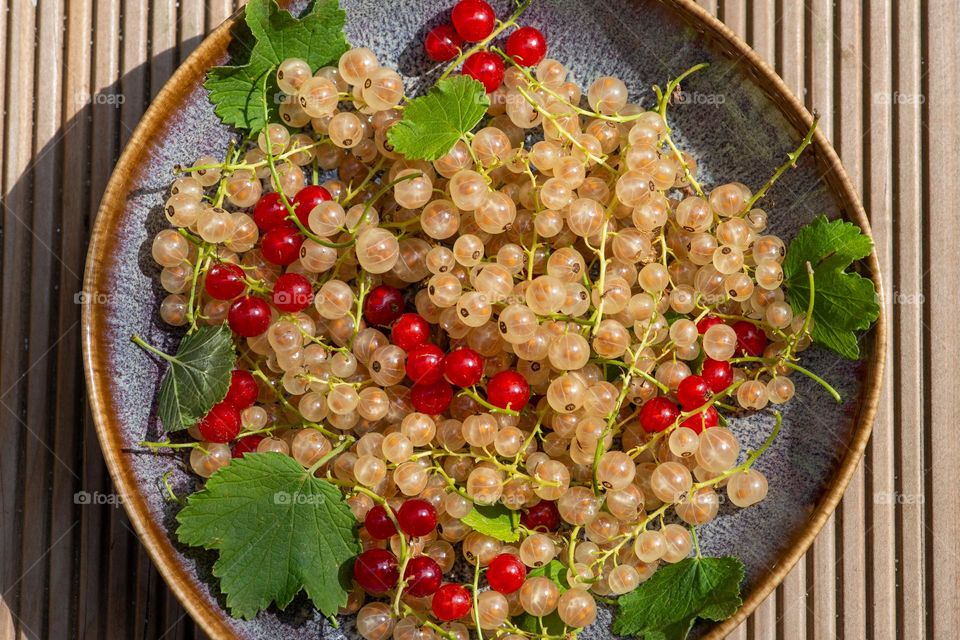 white and red currants