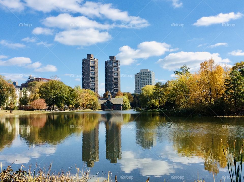 The Harlem Meer, named after the nearby neighborhood of Harlem and the Dutch word for "lake"  The towers in the background are reflected in the lake. 