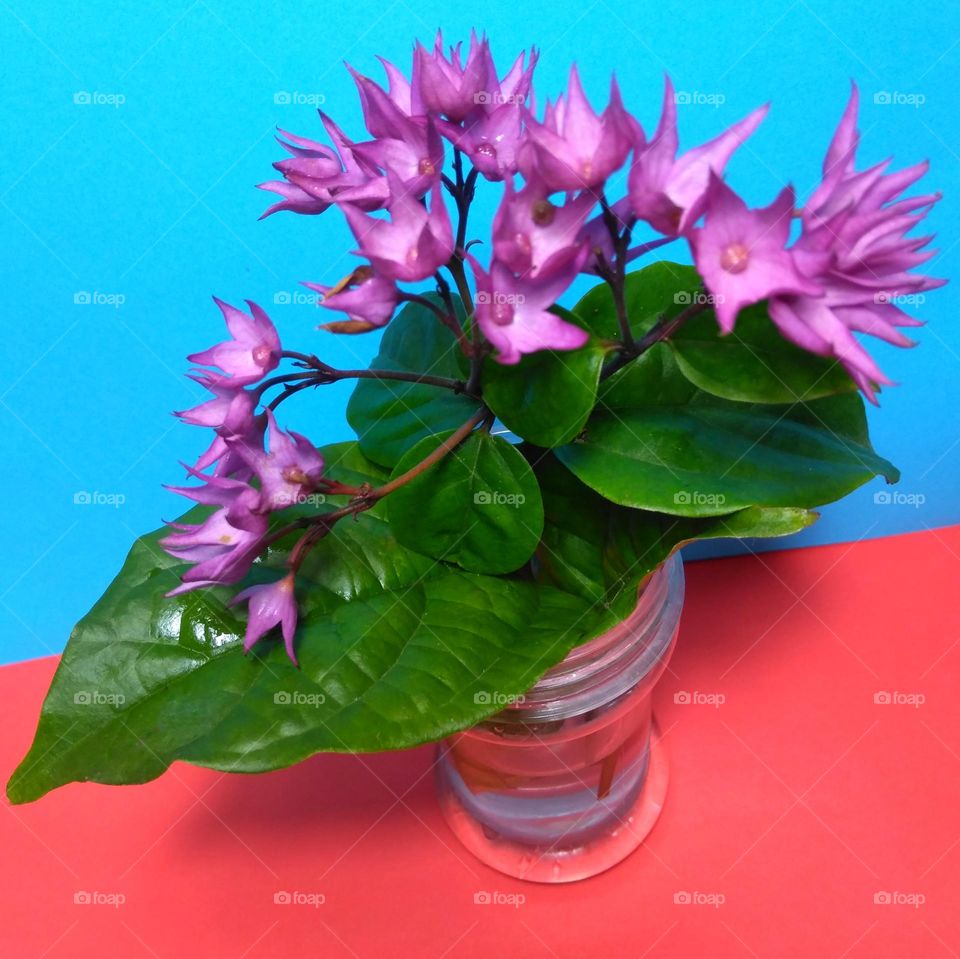 Beautiful purple flowers on vase