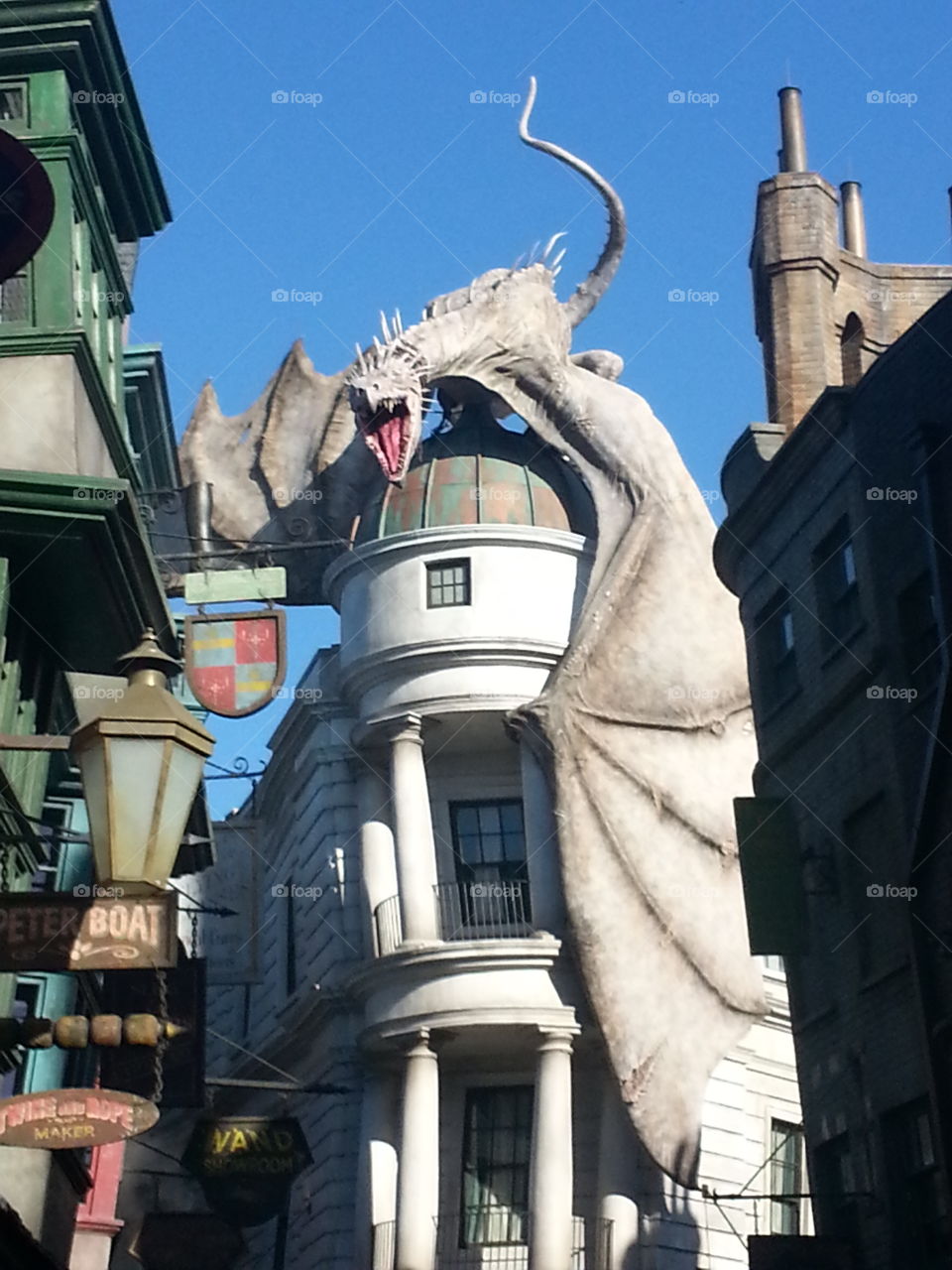 Harry potter Dragon. went to universal waiting to see flames covenant of dragons mouth