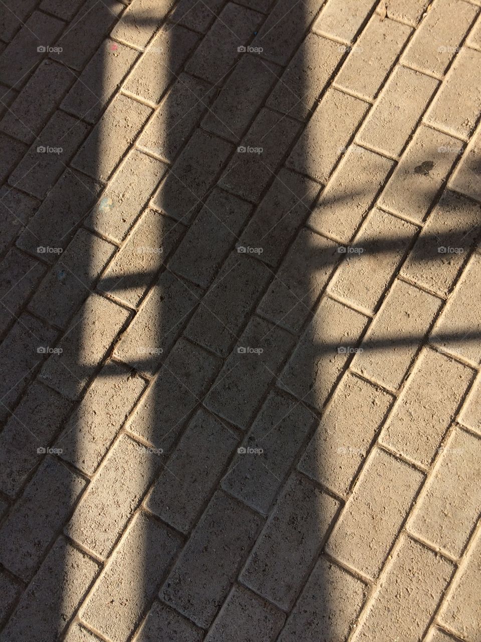 Shadows 