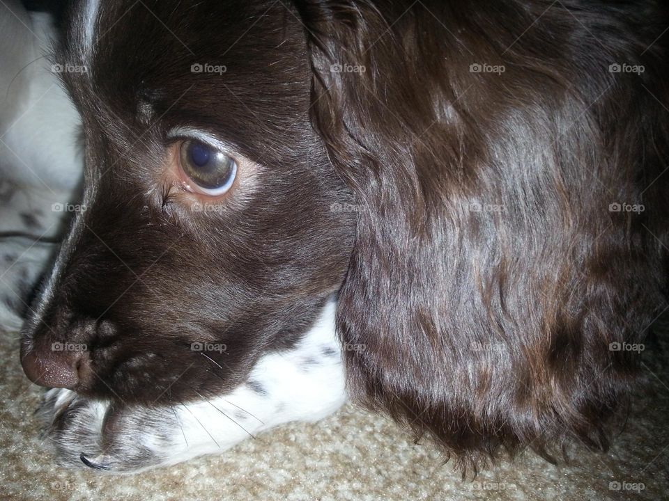 put that light out, trying to sleep.