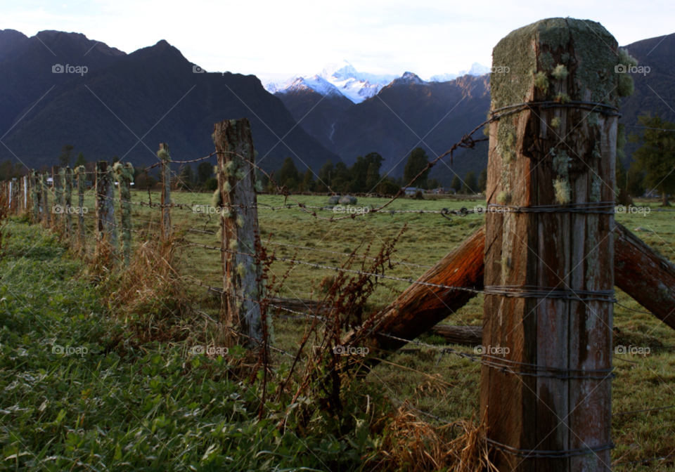 grass fence mountain dew by benhines