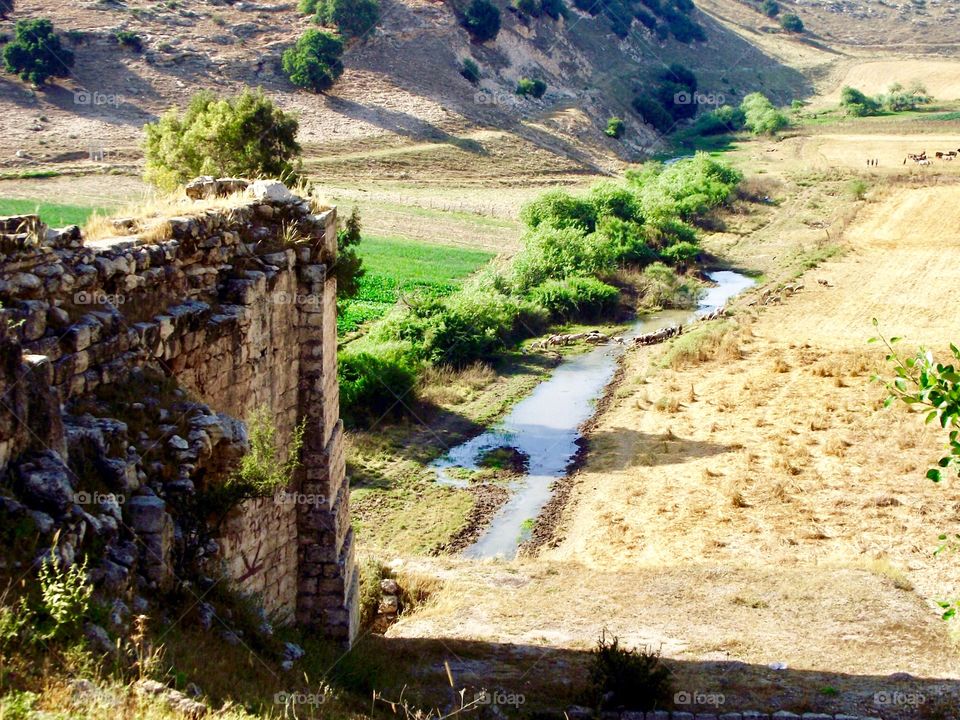 A river in a field of sheep
