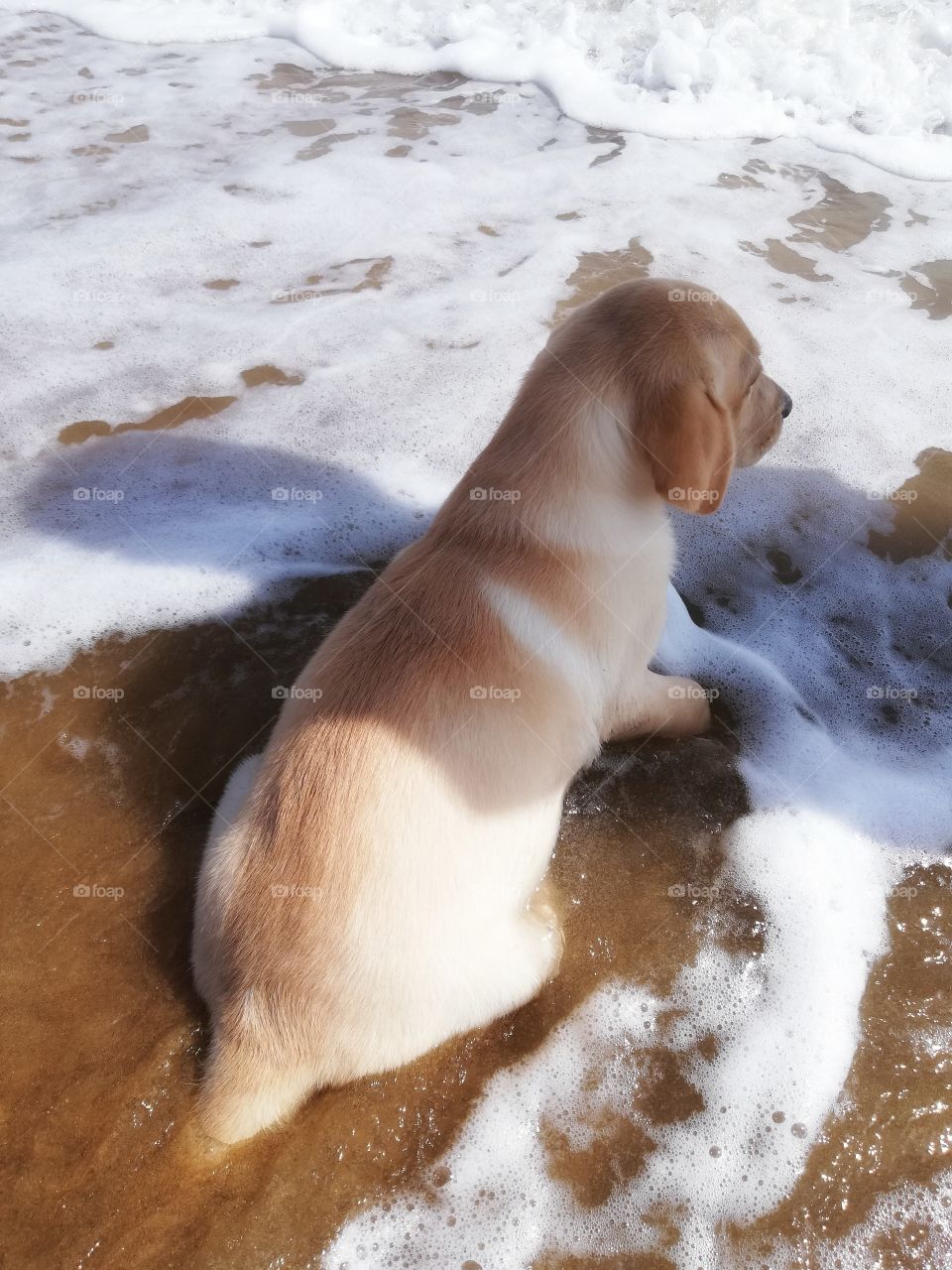 First beach day is the best beach day ❤️