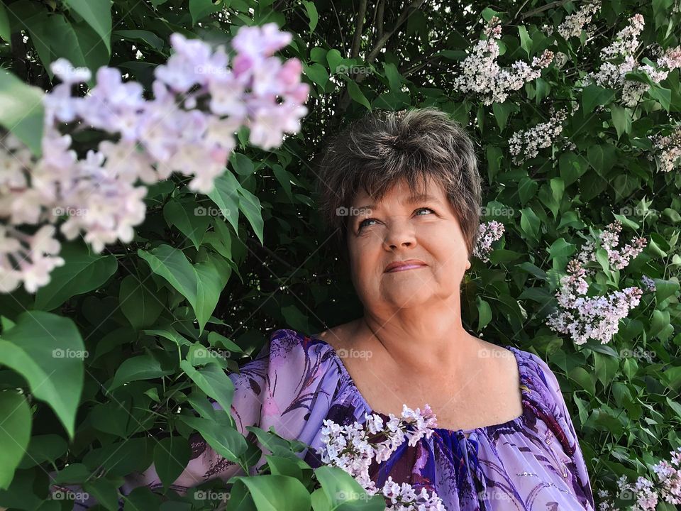 Bright and colorful spring flowers 