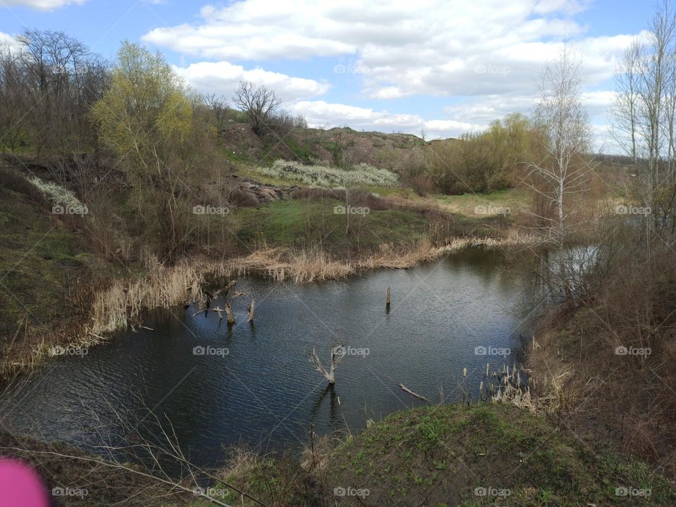 wild lake in the forest