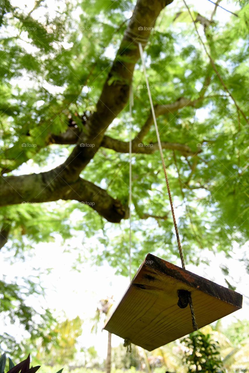 View from underneath a wooden tree swing looking up through the branches of a tree to the sky