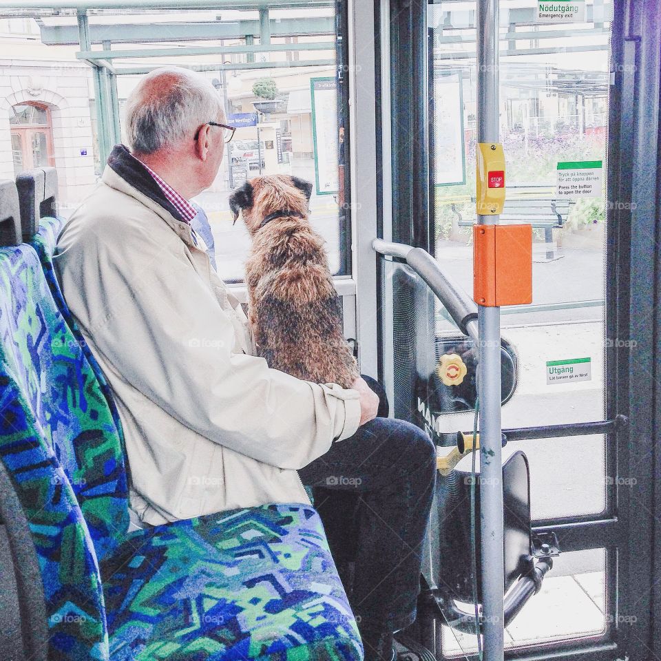 man and dog on bus