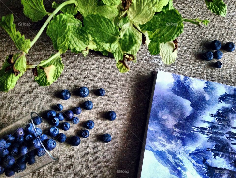 Food for body and mind . Blueberries, mint and book 