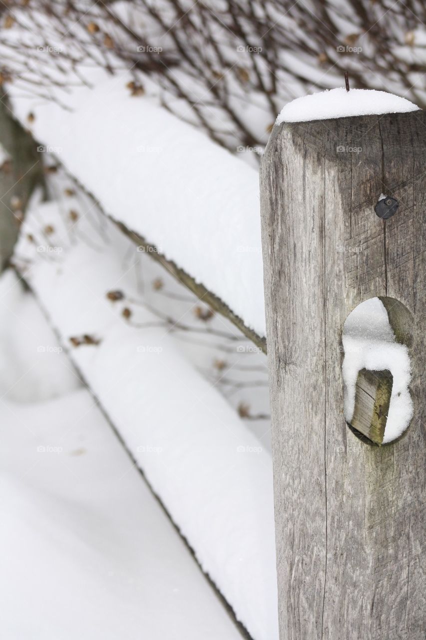 Split Rail in snow