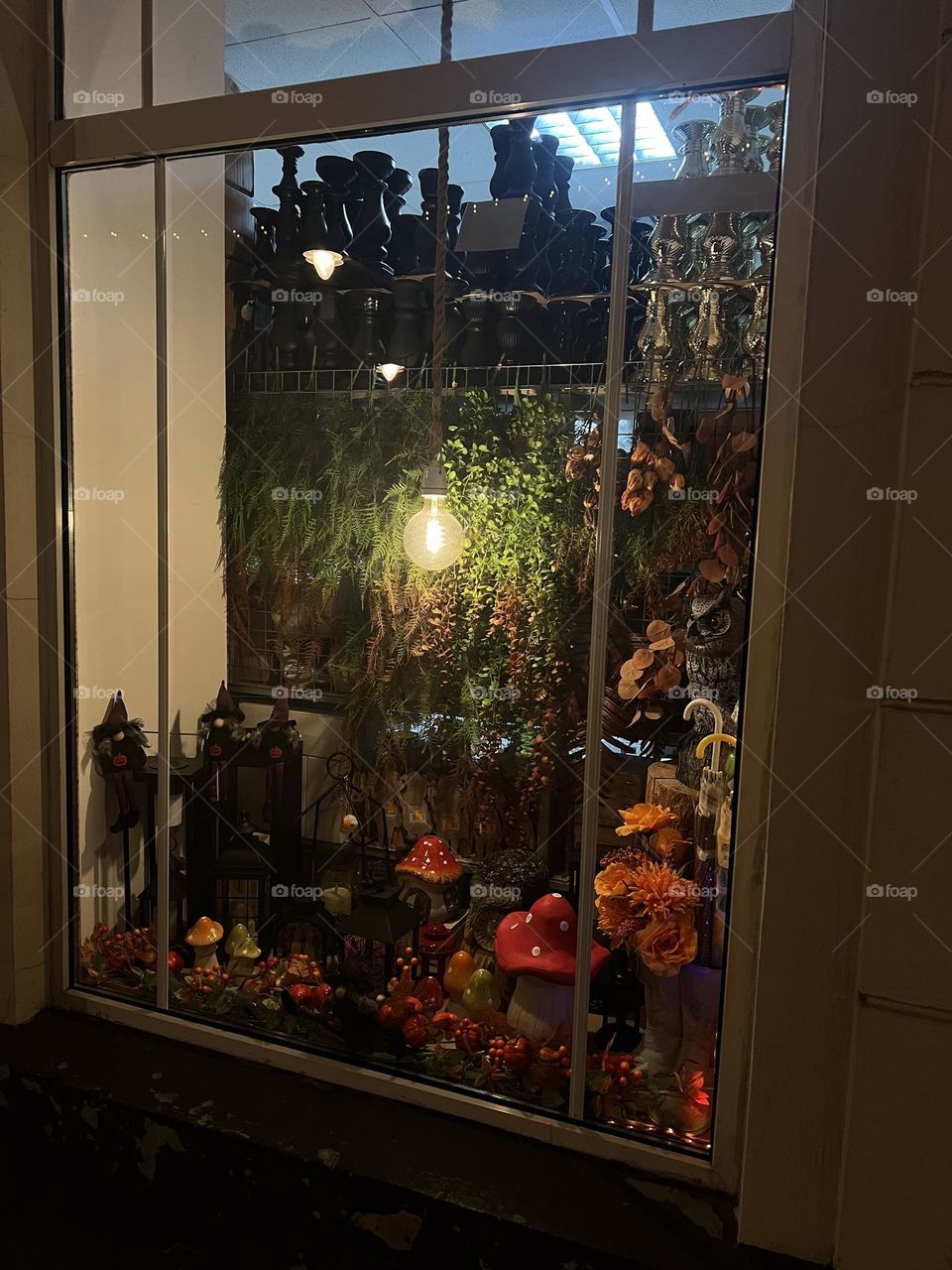 The showcase of a convenience store.