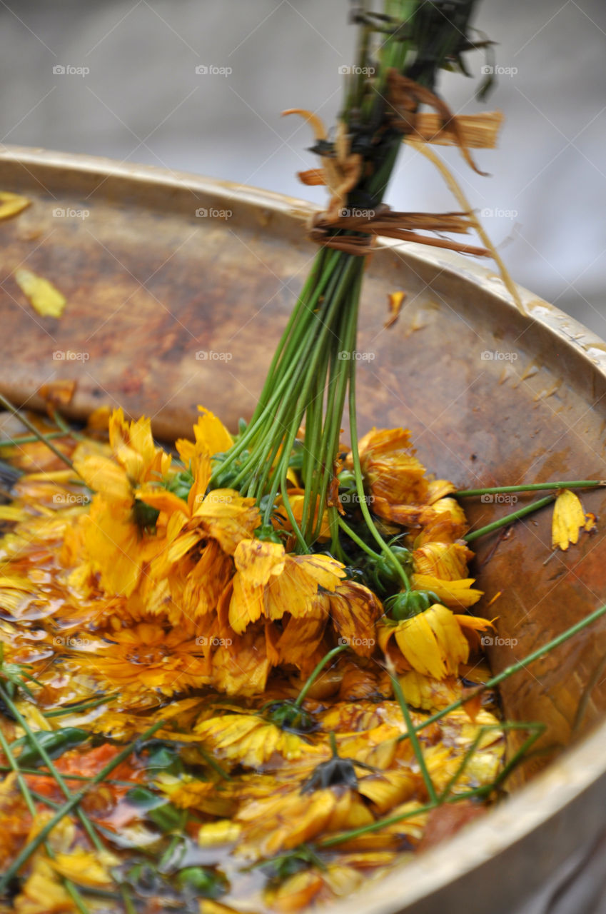 No Person, Food, Leaf, Nature, Flower