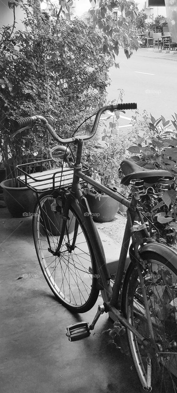 Bicycle in black and white