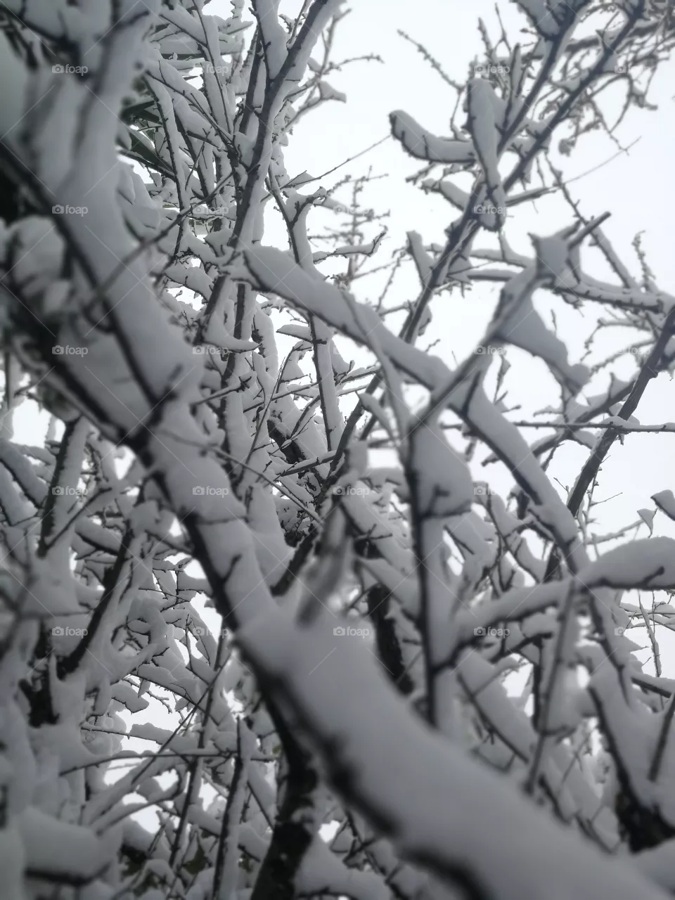Snow