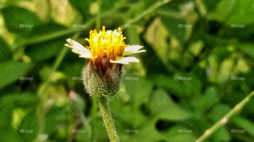 Keep love in your heart. A life without it is like a sunless garden when the flowers are dead

— Oscar Wilde