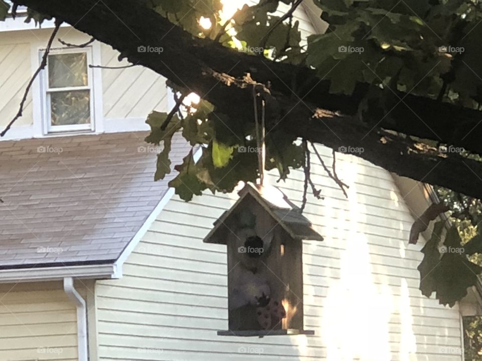 A lovely little bird house in the fall