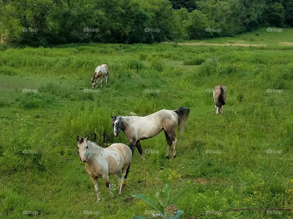 Driving the Back Roads and enjoying everything around us