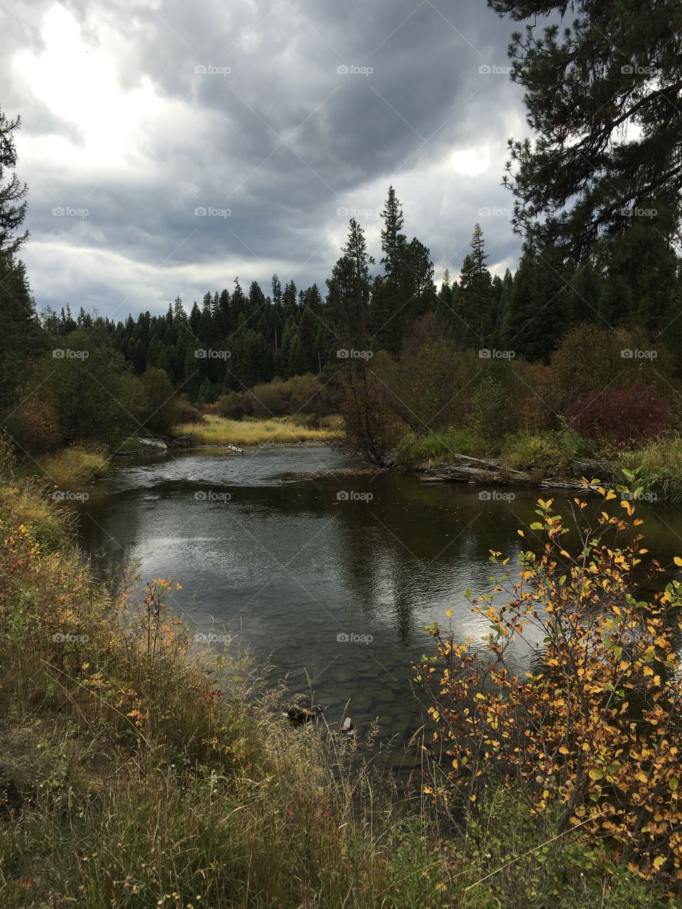 Autumn on the river in Montana. 