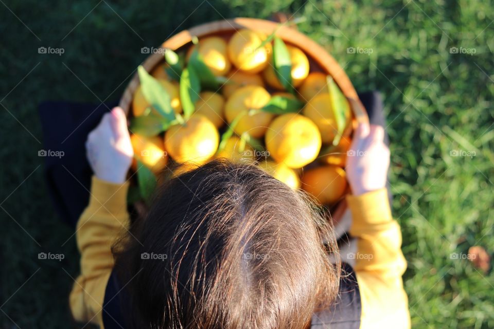 Mandarins in basket 